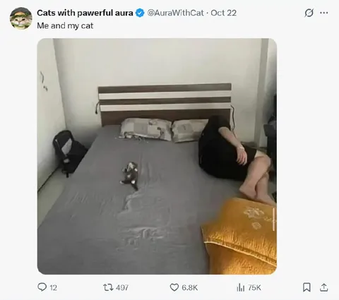 Me and My Cat on a Huge Bed