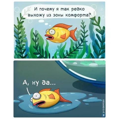 Рыба вне зоны комфорта