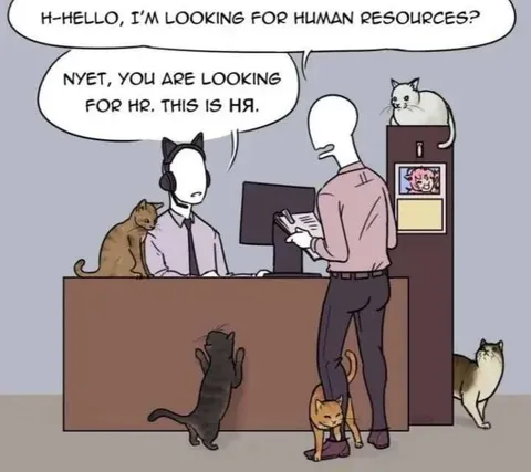 Human Resources Cat Pun