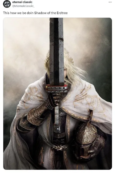 This How We Doin Shadow of the Erdtree