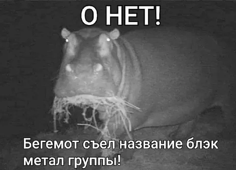 Бегемот съел название блэк-метал группы
