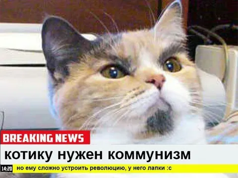 Котику нужен коммунизм