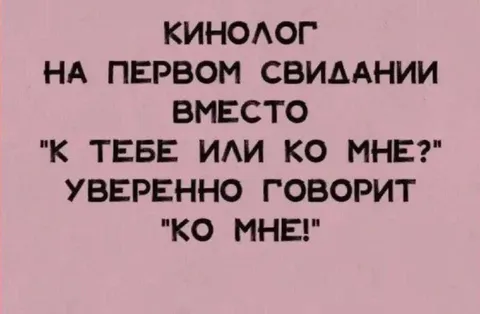 Кинолог уверенно выбирает «ко мне»