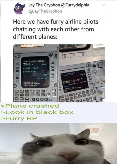 Furry Pilots Chatting Midair