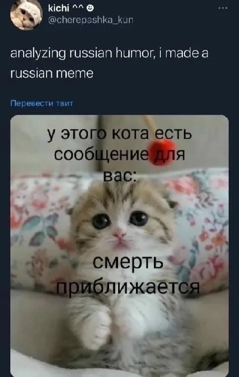 Кот сообщает о смерти