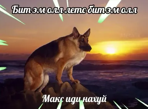 Макс иди нахуй под евробит