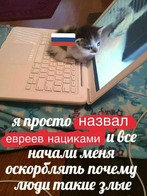 Я просто назвал евреев нациками