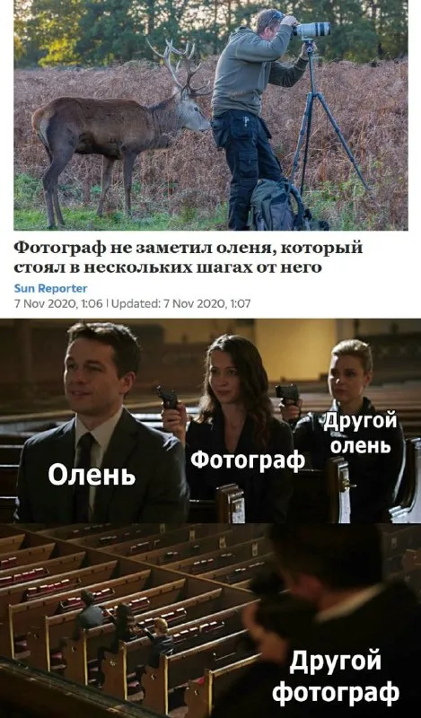 Фотограф и два оленя