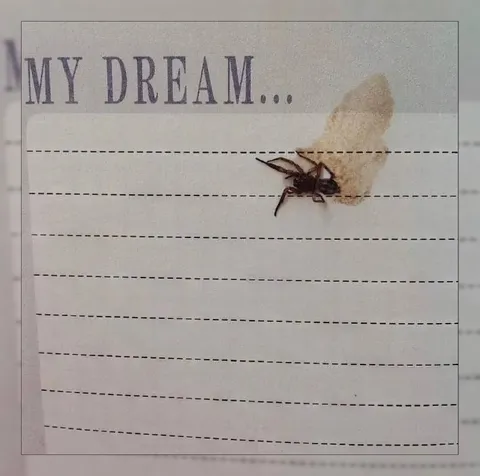 My Dream Is Empty