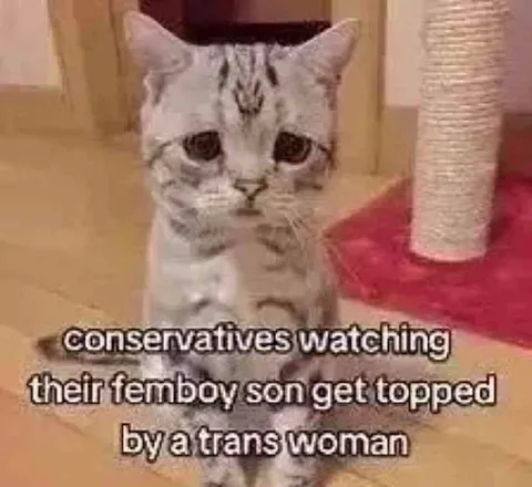 Conservatives Watching Their Femboy Son