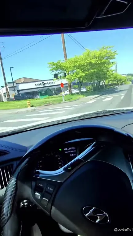 Calm Drive Through the Neighborhood