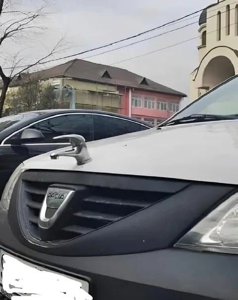 Кран вместо эмблемы Dacia