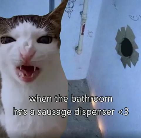 Cat Finds a Sausage Dispenser