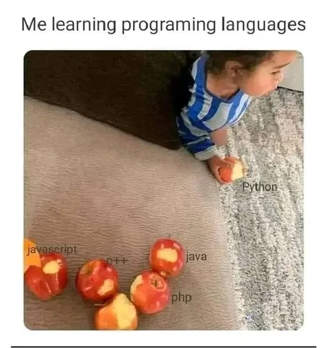 Learning Programming Languages
