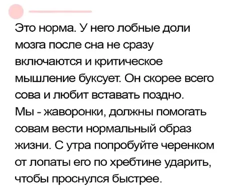 Жаворонки помогают совам проснуться