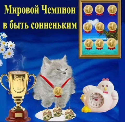 Мировой чемпион по сонливости