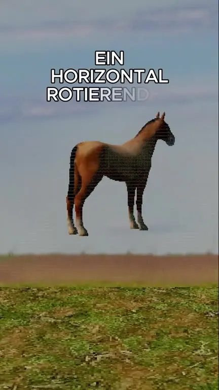 Ein horizontal rotierender Pferd