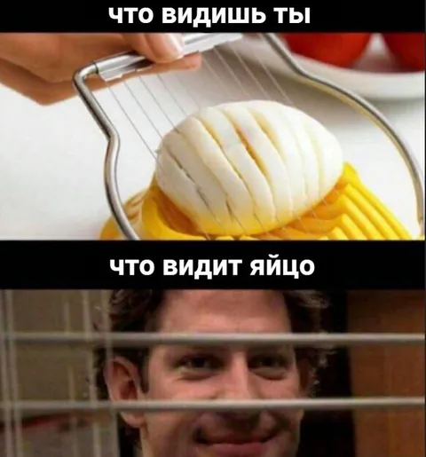 Что видит яйцо