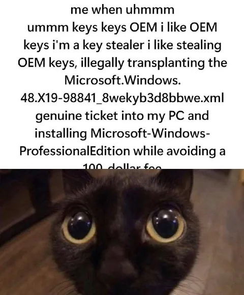 Key Stealer Installs Windows