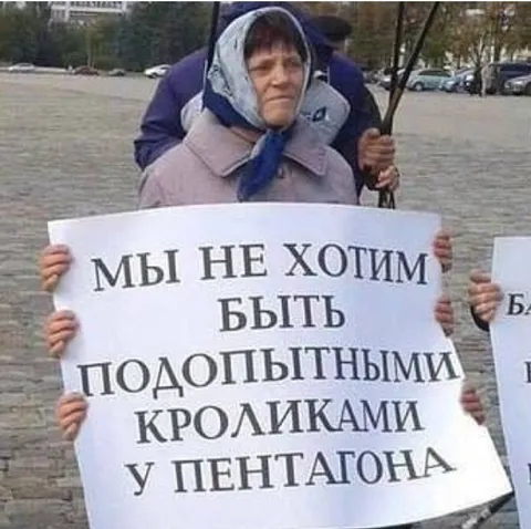Кролики у Пентагона