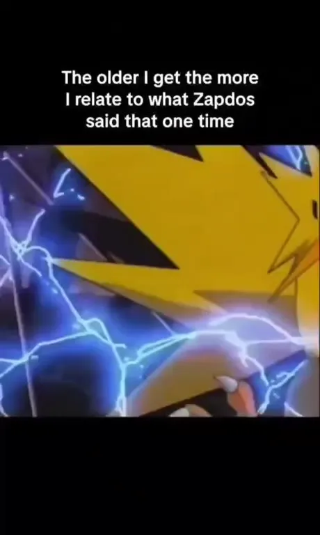 Relating to Zapdos as I Age