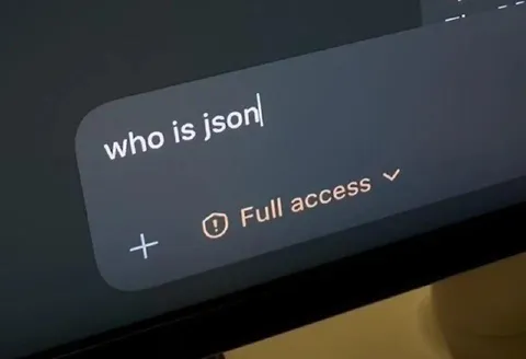 Who Is JSON?
