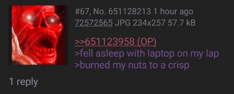 Laptop Burned My Nuts