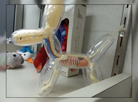 Skeleton Balloon Dog