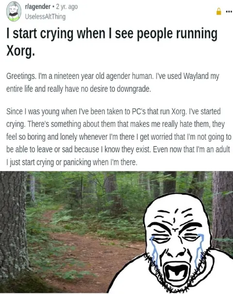 Crying Over People Running Xorg
