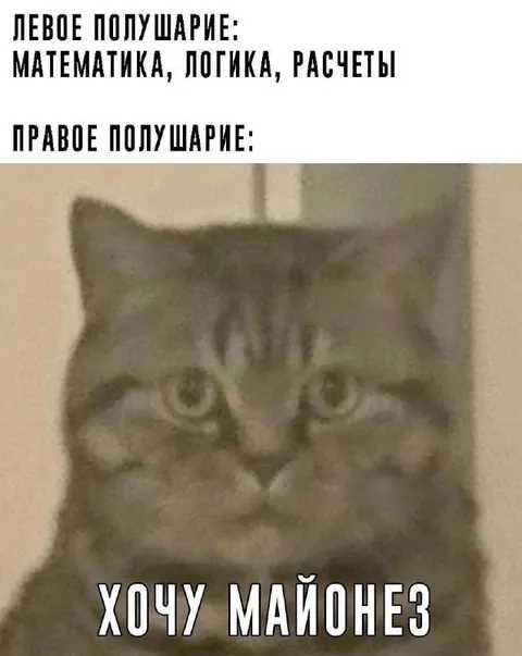 Хочу майонез вместо логики