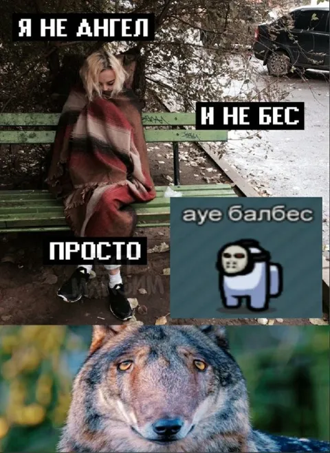 Я не ангел и не бес