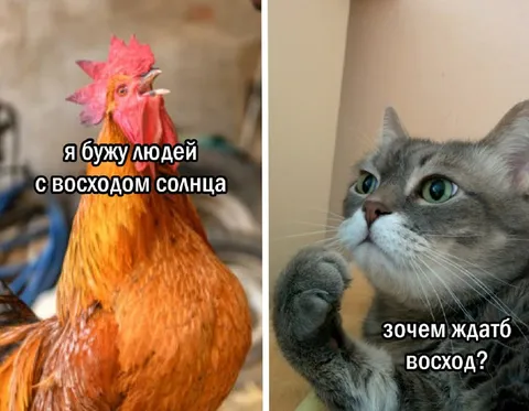 Зачем ждать восхода?