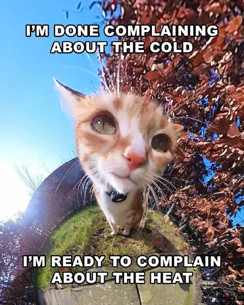 Done Complaining About the Cold