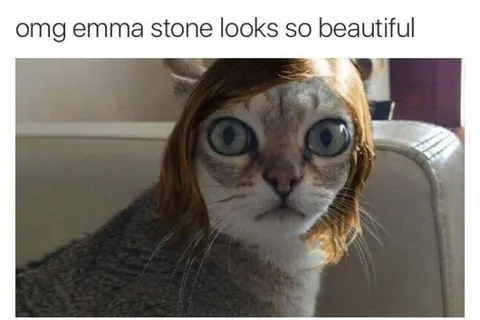Emma Stone Cat Wig