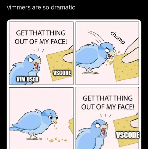 Vim User Eats VSCode