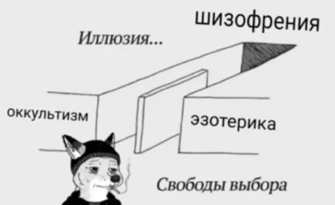 Шизофрения и свобода выбора
