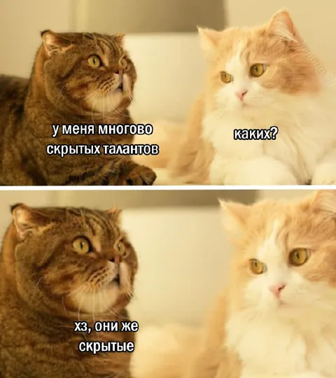 Скрытые таланты кота