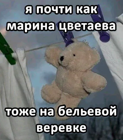 Марина Цветаева на бельевой верёвке