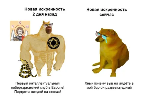 Новая искренность: два дня спустя