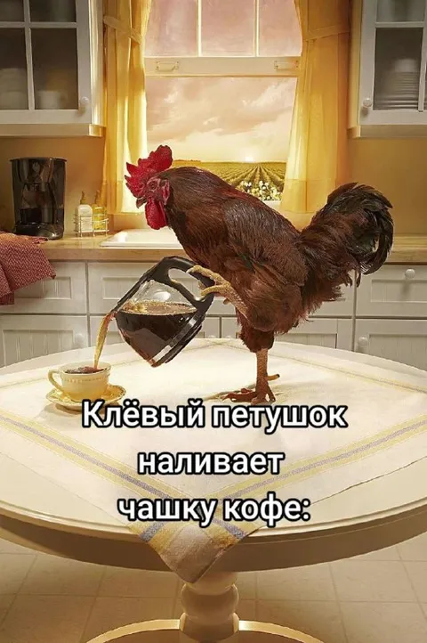 Клювый петушок наливает кофе