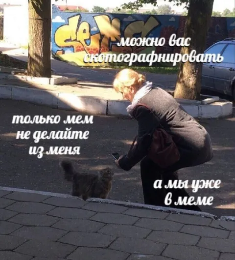 Мы уже в меме