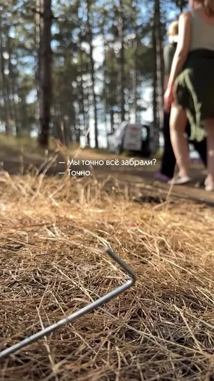 Точно всё забрали