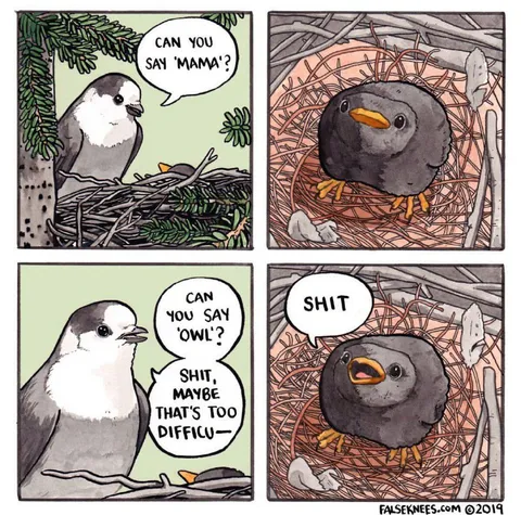 Baby Bird Says Shit