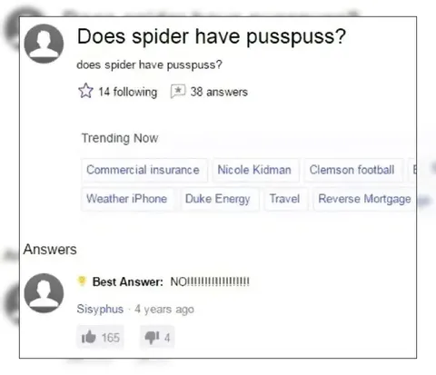 Does Spider Have Pusspuss