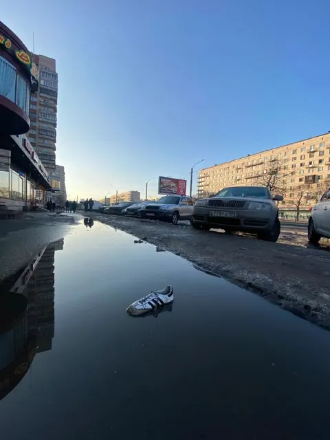 Кроссовок в луже