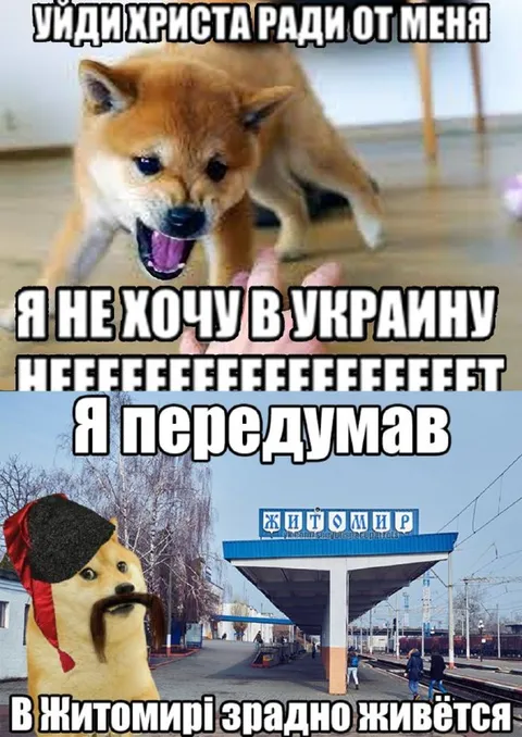 Шиба-ину передумал уезжать