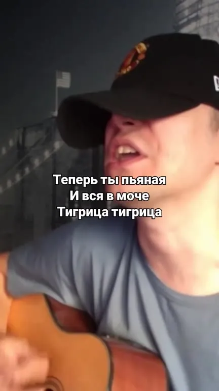Пьяная тигрица с гитарой