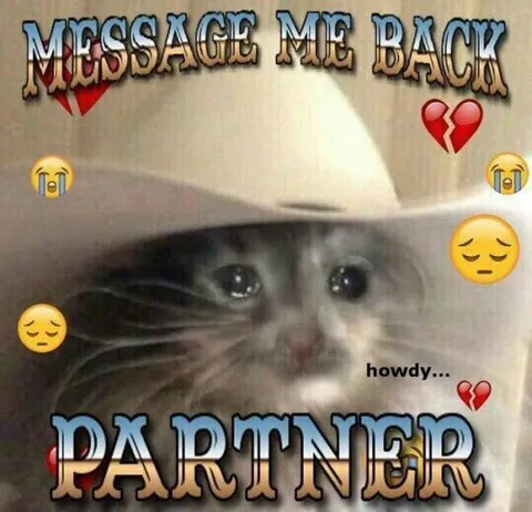 Message Me Back Partner Cat
