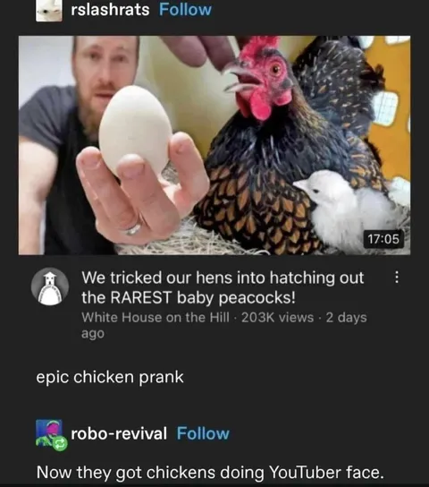 Chickens Doing YouTuber Face