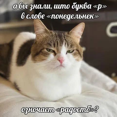 Буква р в понедельнике